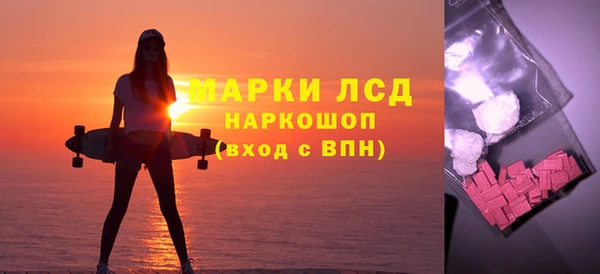 мдпв Елабуга