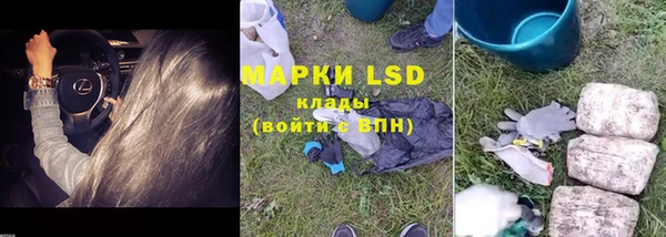 mdma Елизово