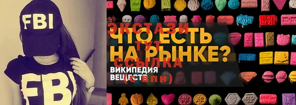 мдпв Елабуга