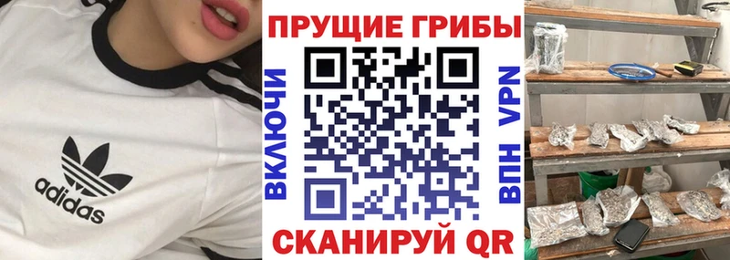 Купить закладки  Тотьма  Псилоцибиновые грибы Psilocybe 